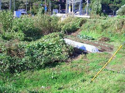 【外観】 | 二ツ井町山根・土地