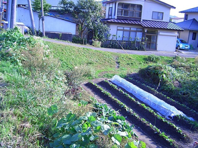  | 二ツ井町山根・土地