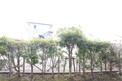 11帖のLDK♪