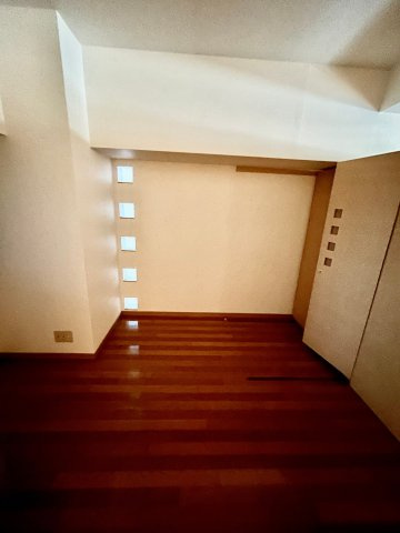 サングレートESAKAⅡのその他