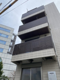 リトルプラムの画像