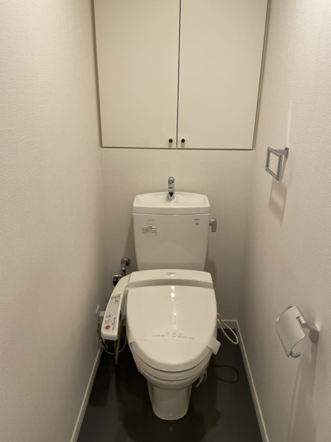 中央区銀座８丁目の賃貸マンションのその他|トイレ