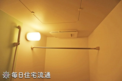 【その他】 | ステビア