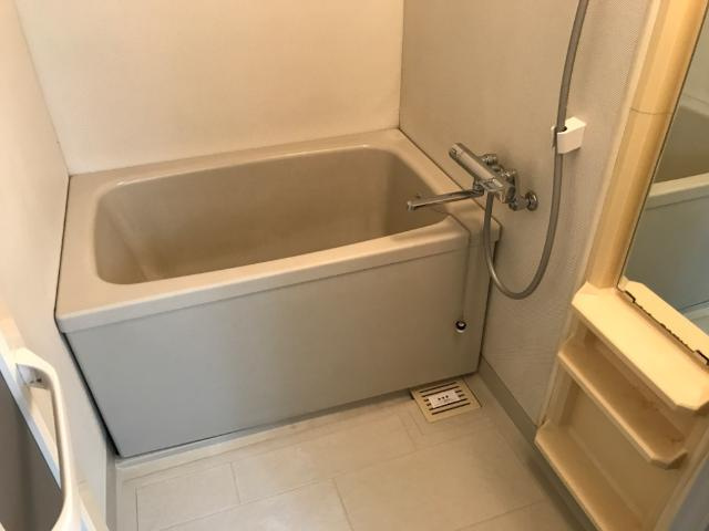 ロイヤルタムラバラ館の浴室|バス