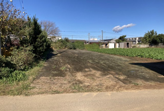 【外観】 | 杉並住宅地