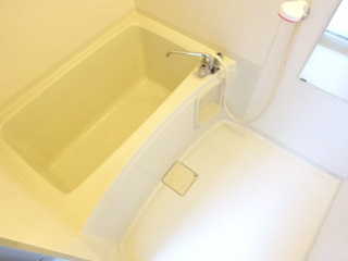 ジョイフル昭栄の浴室