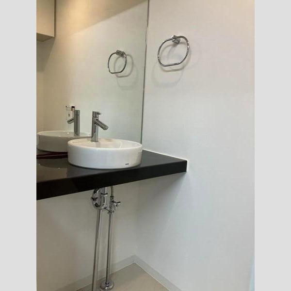 COMMON  Akasaka（コモン赤坂）の洗面所