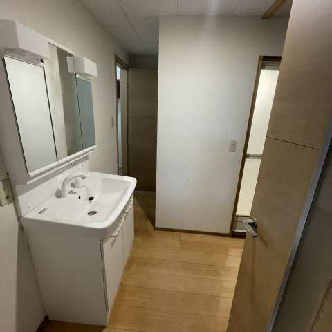 ピジョン東町の洗面所