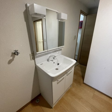 ピジョン東町の洗面所