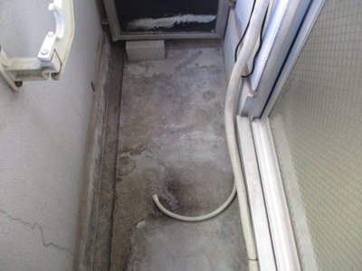 【バルコニー】 | アベニュー西住之江