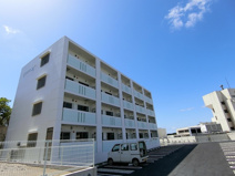 ＯＨＡＮＡの画像