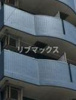 【バルコニー】ブルーローズ 