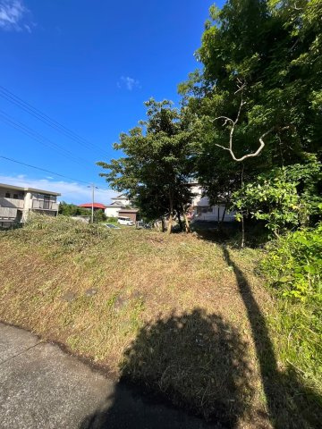 川奈　土地の前面道路含む現地写真