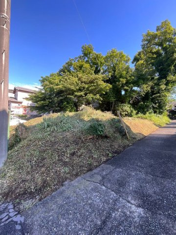 川奈　土地の前面道路含む現地写真