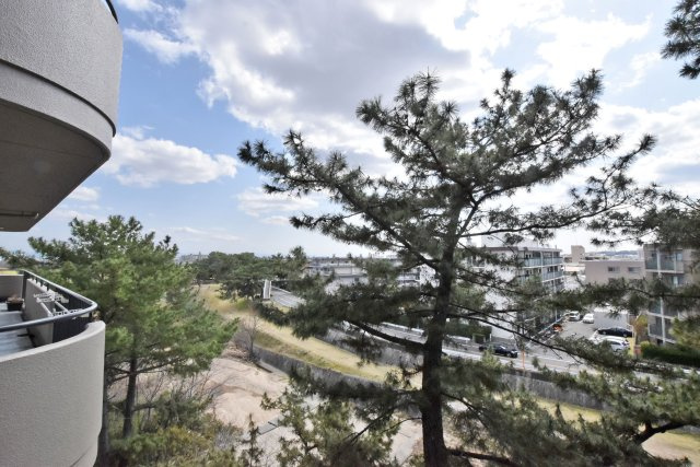 パラツィーナセシリア仁川弐番館のバルコニー|バルコニーからの眺望です。自然を感じることができます。