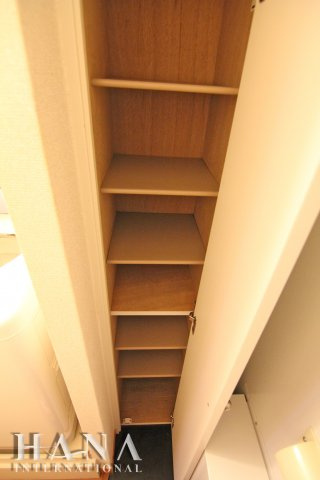 彩Ⅱの収納