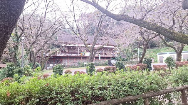 伊勢原市東富岡　店舗兼住宅の大型ログハウスの前面道路含む現地写真