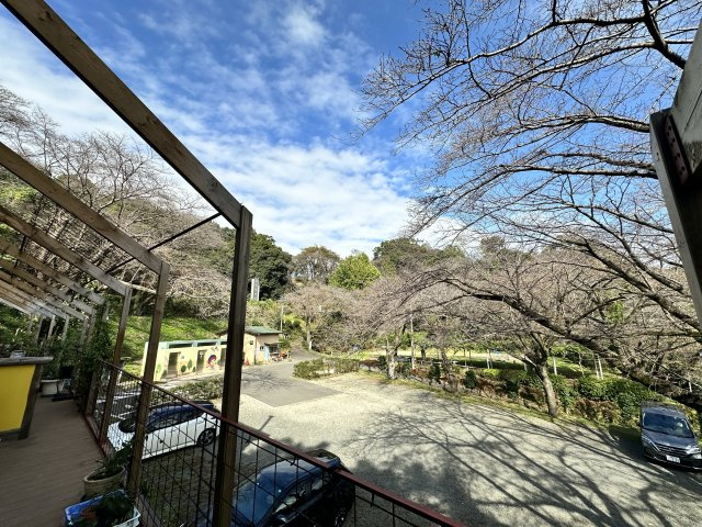 伊勢原市東富岡　店舗兼住宅の大型ログハウスの展望