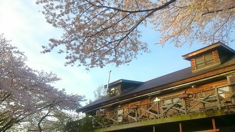 伊勢原市東富岡　店舗兼住宅の大型ログハウスのその他