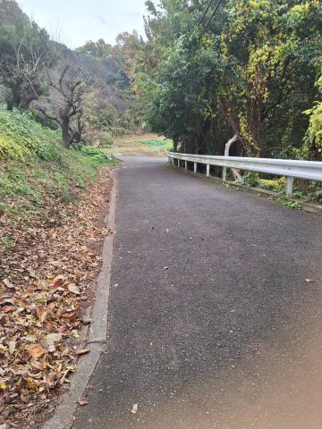 伊勢原市東富岡　店舗兼住宅の大型ログハウスのその他