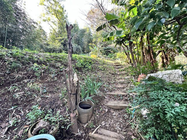 伊勢原市東富岡　店舗兼住宅の大型ログハウスの庭