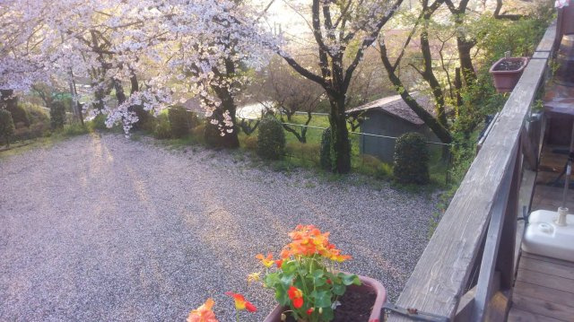 伊勢原市東富岡　店舗兼住宅の大型ログハウスの展望