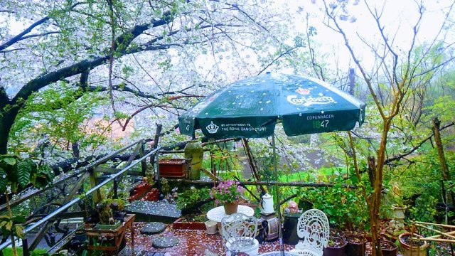 伊勢原市東富岡　店舗兼住宅の大型ログハウスのその他