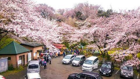 伊勢原市東富岡　店舗兼住宅の大型ログハウスの展望