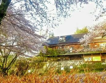 伊勢原市東富岡　店舗兼住宅の大型ログハウスの前面道路含む現地写真