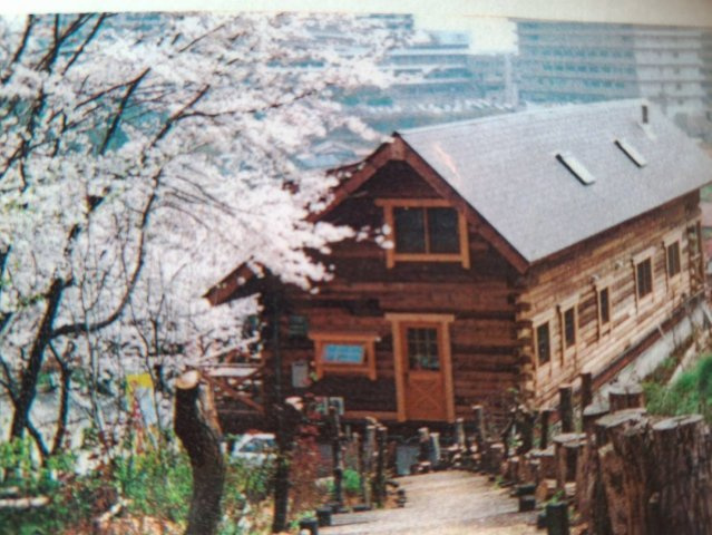 伊勢原市東富岡　店舗兼住宅の大型ログハウスの外観