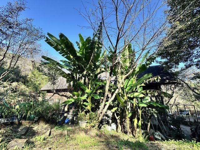 伊勢原市東富岡　店舗兼住宅の大型ログハウスの庭