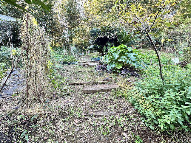 伊勢原市東富岡　店舗兼住宅の大型ログハウスの庭