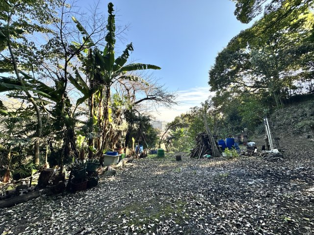 伊勢原市東富岡　店舗兼住宅の大型ログハウスの庭