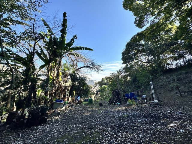 伊勢原市東富岡　店舗兼住宅の大型ログハウスのその他