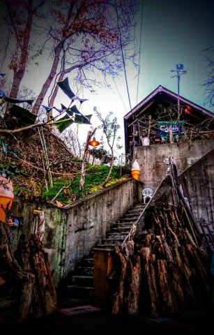 伊勢原市東富岡　店舗兼住宅の大型ログハウスの外観