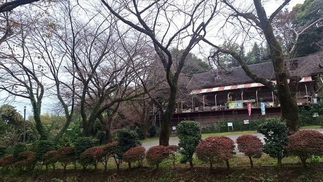 伊勢原市東富岡　店舗兼住宅の大型ログハウスの前面道路含む現地写真