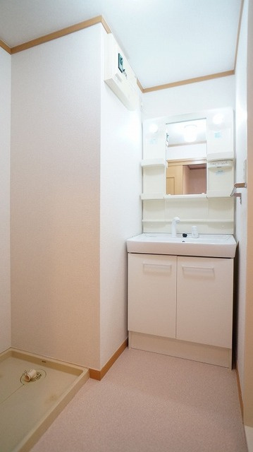 サニーヒルズⅣの洗面所|洗面所