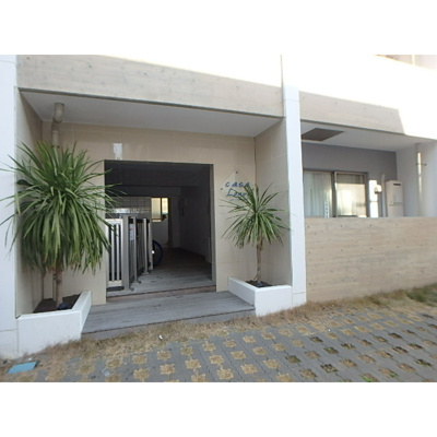 【エントランス】 | シンボルプラント