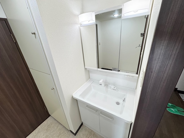 エスポワール岩湧の独立洗面台