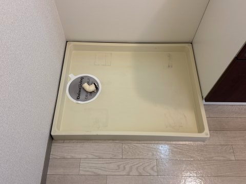 ユウハイツ・山崎のその他