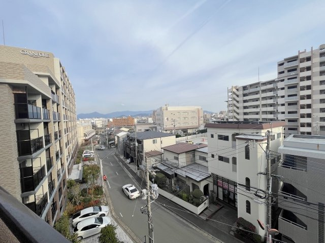 ダイアパレスグラン大橋の展望