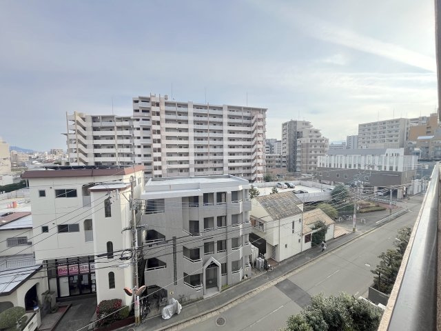 ダイアパレスグラン大橋の展望