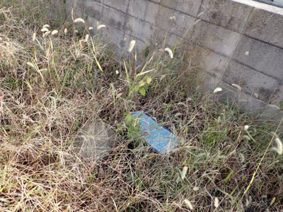 【その他】 | 黒石市緑町四丁目　土地 | 上水道