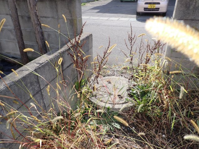 【その他】 | 黒石市緑町四丁目　土地 | 下水道