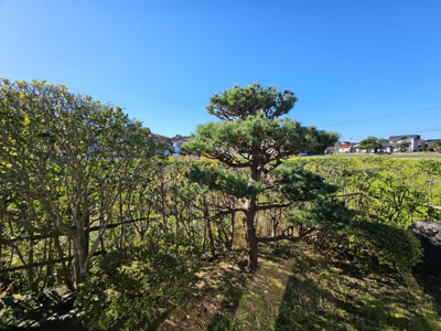 【庭】 | 鳥取市布勢中古戸建て