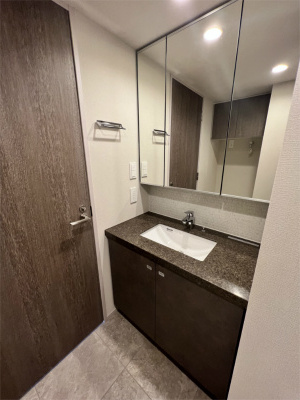 【独立洗面台】 | ザ・パークハビオ荏原中延駅前 | ※別部屋参考お写真