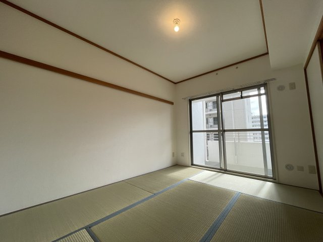 きれいな畳です！
