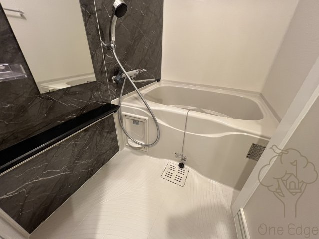 ライフフィールドなにわ本町RUELLEの浴室