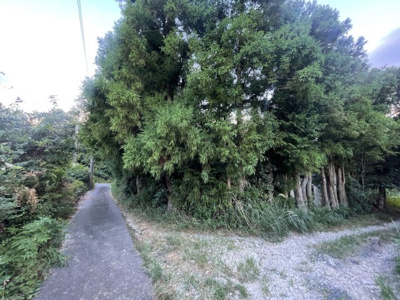 【周辺】 | 滋賀県大津市南比良1001-60