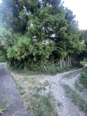 【周辺】 | 滋賀県大津市南比良1001-60